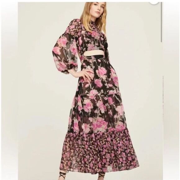 Misa Los Angeles Charlotta Long Sleeve Floral Black and Pink Maxi Dress| Size M - Picture 1 of 10